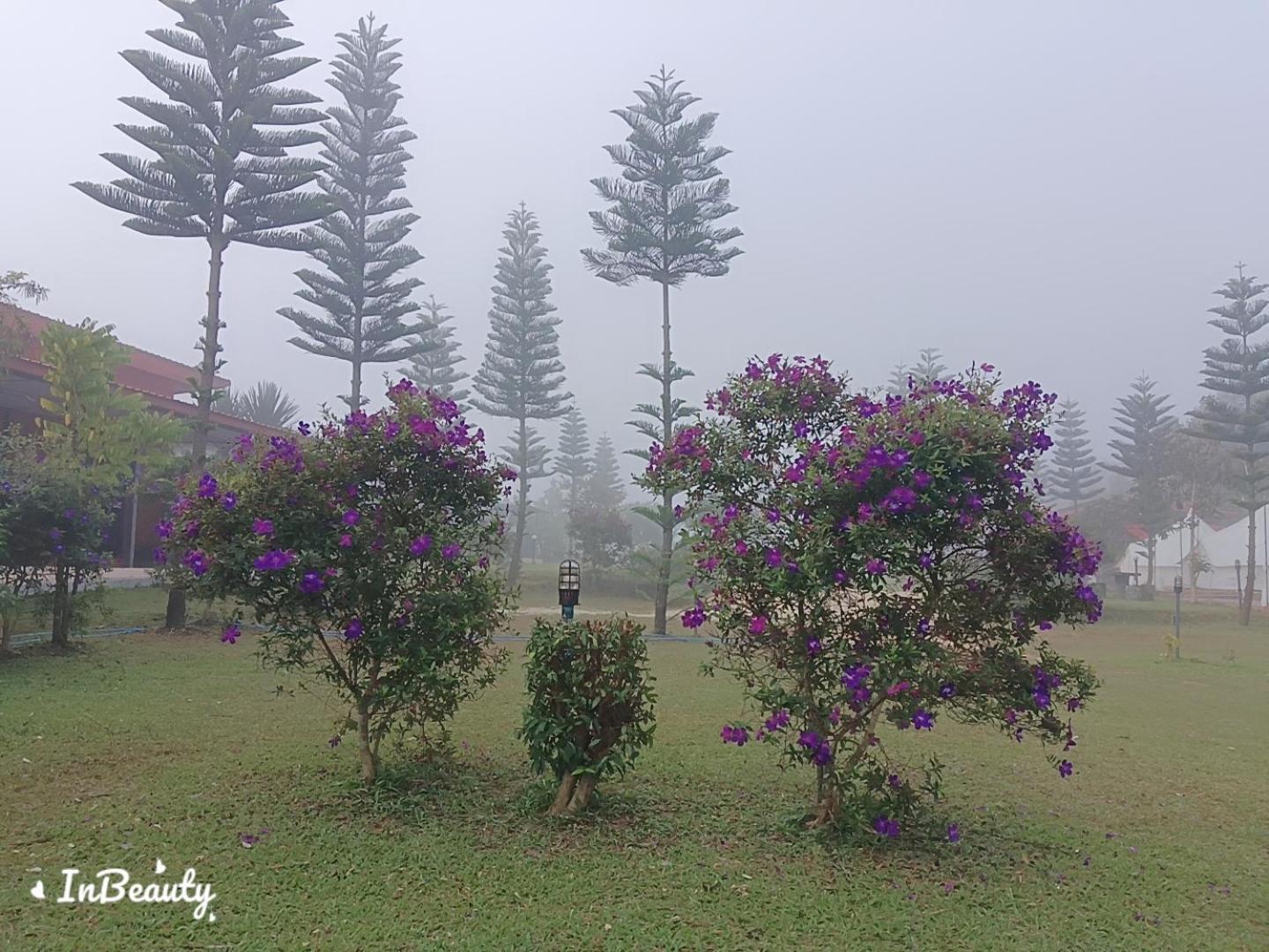 Villa เฟรนด์แคมป์ Amphoe Amphoe Khao Kho Exterior foto